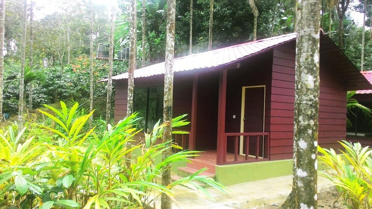 La Flora Prakruth Resort Coorg Madikeri Exteriör bild