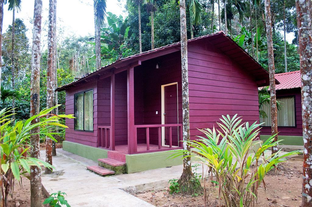 La Flora Prakruth Resort Coorg Madikeri Exteriör bild