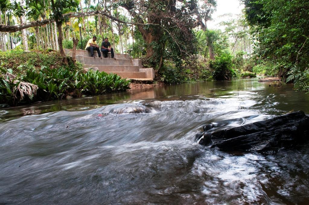 La Flora Prakruth Resort Coorg Madikeri Exteriör bild
