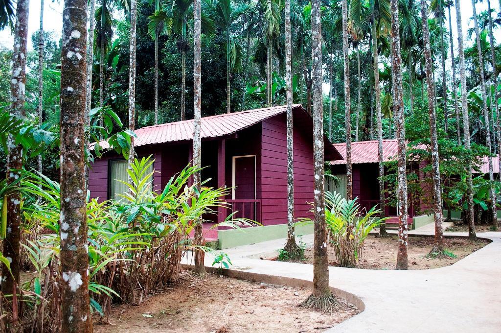 La Flora Prakruth Resort Coorg Madikeri Exteriör bild